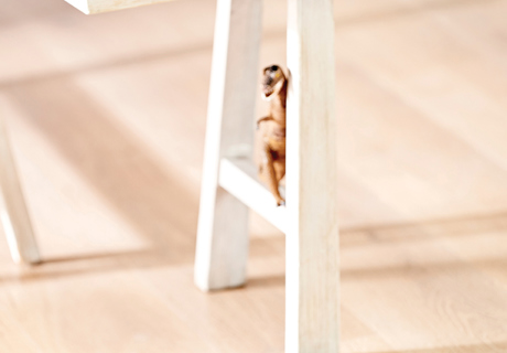 The best hard flooring for kids and pets