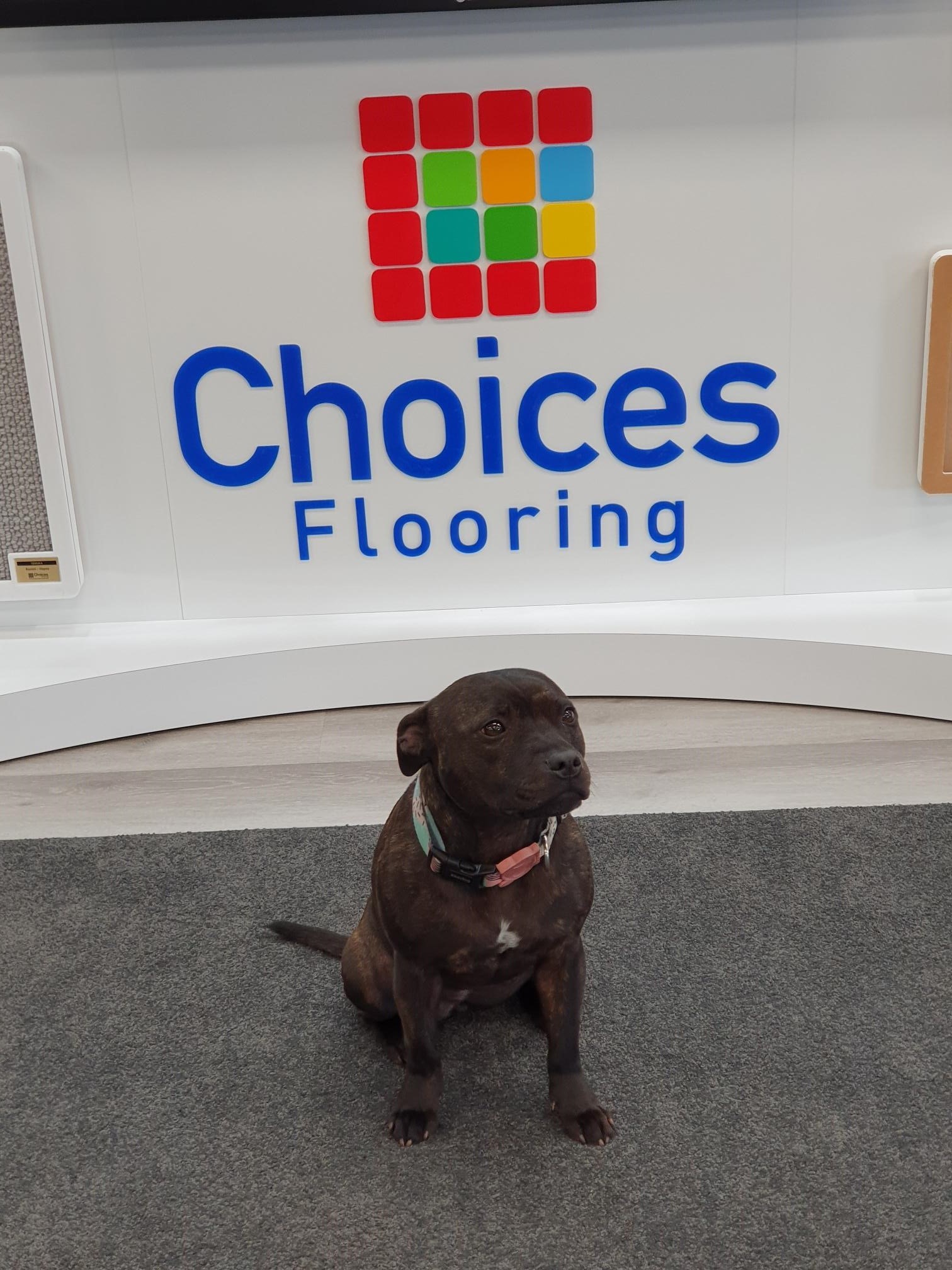 North Shore Showroom