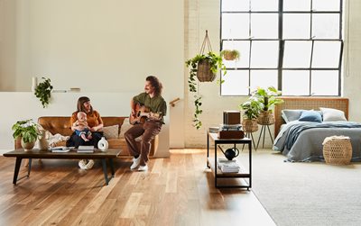 Plantino_Native_Landmark_Spotted_Gum_Temuka_Langdale_Cordovan_Talent_2_NoPainting_SCREEN.jpg Plantino_Native_Landmark_Spotted_Gum_Temuka_Langdale_Cordovan_Talent_2_NoPainting_SCREEN.jpg